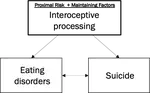 Transdiagnostic risk factors